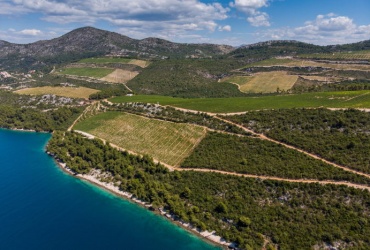 Komarna breaks through!