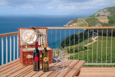 Wine Tasting Terra Madre season 2024