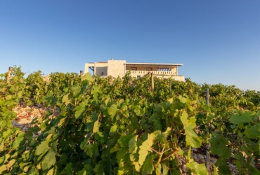 Destination Terra Madre  Komarna and Dalmatian Winery