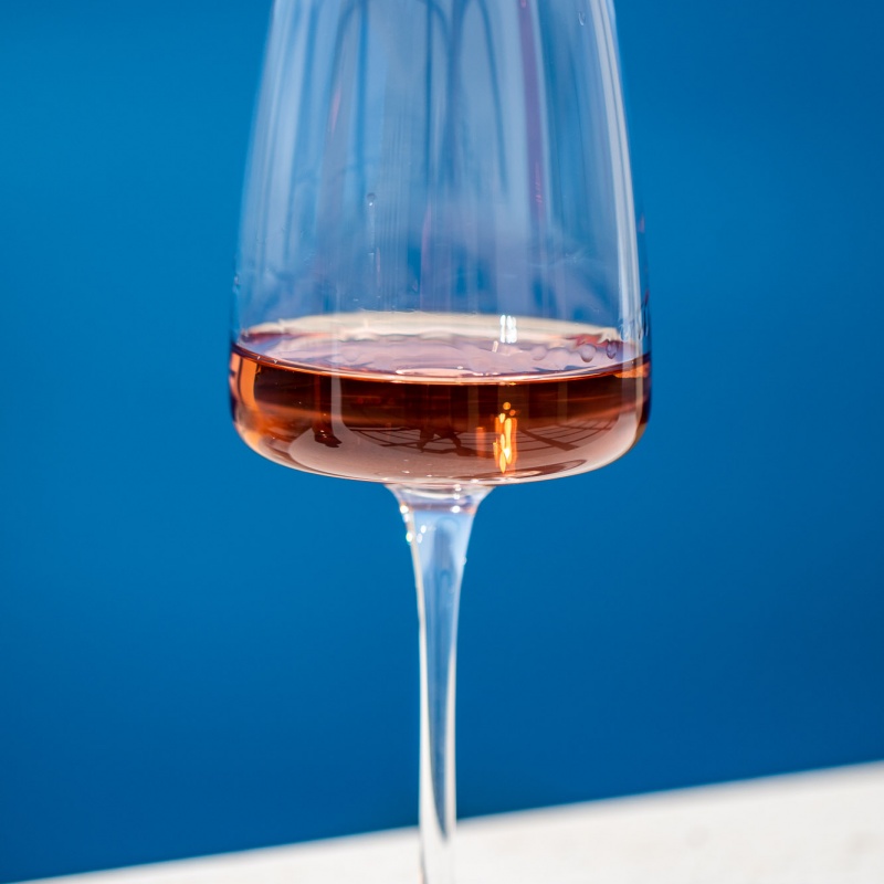 Degustacija Rose plavca malog