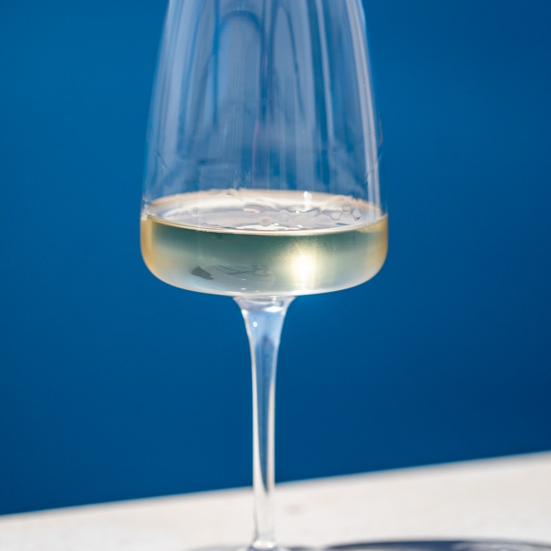 Degustacija Pošip premium